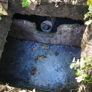 septic tank, effluent filter, oct 2019