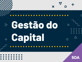 Gestão do Capital