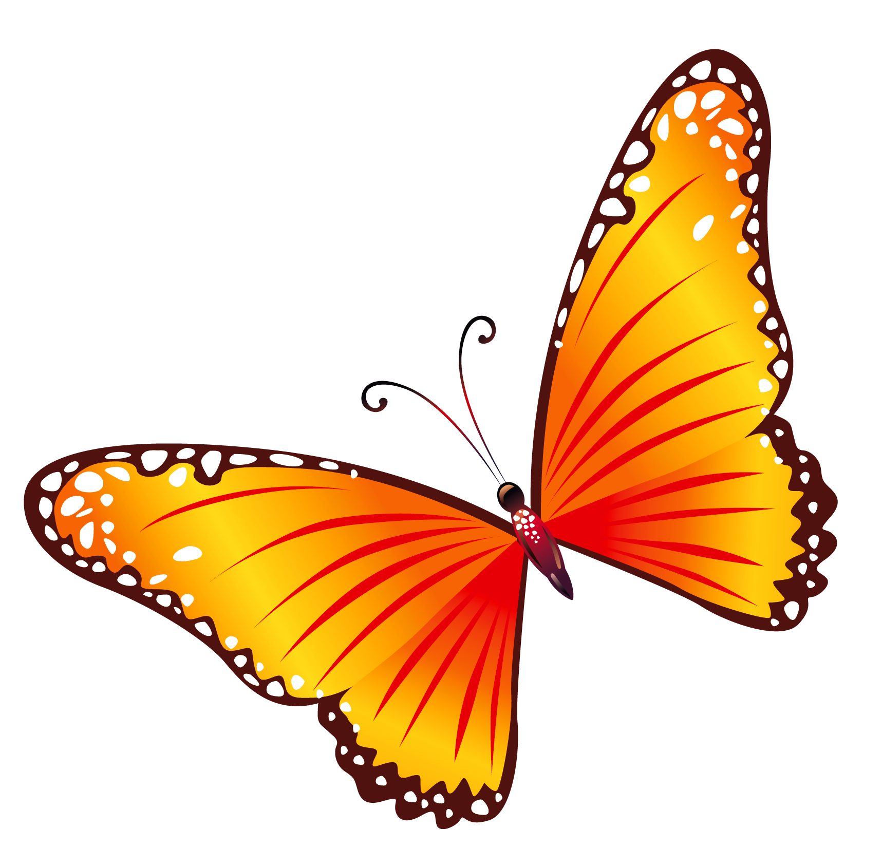 Flying butterfly clipart png