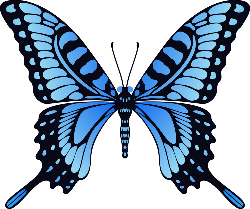 Flying Butterflies Png - ClipArt Best