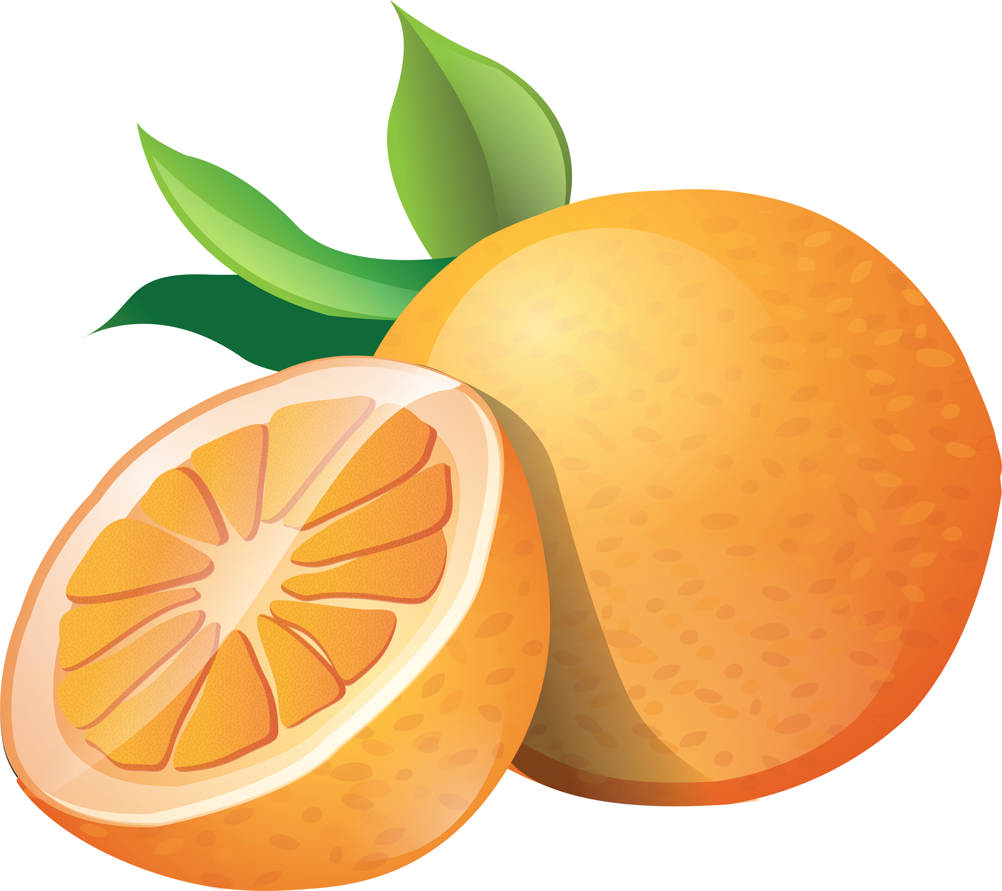 Orange clipart images - ClipartFox