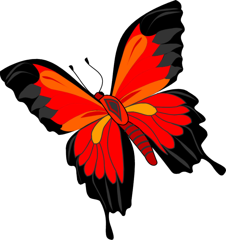 Butterfly PNG image, free picture download