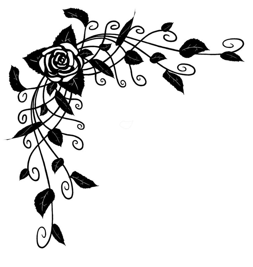 Rose Vine Drawing Clipart - Free to use Clip Art Resource