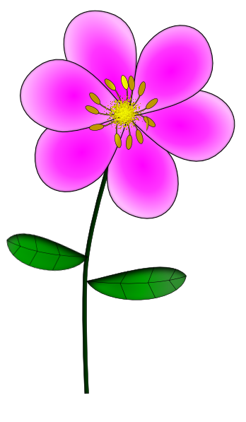 Pink Flower Drawing