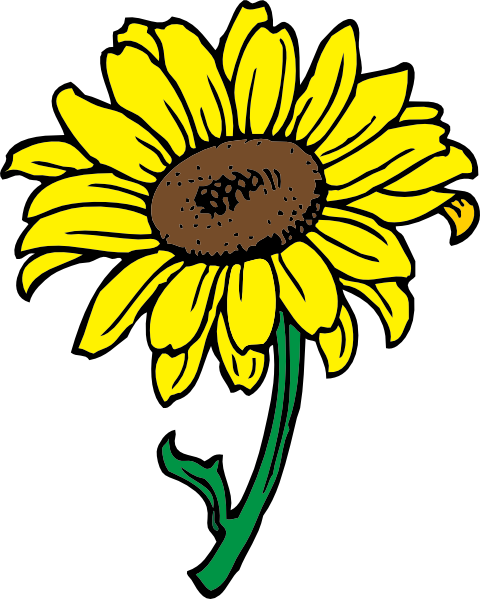 Sunflower Cartoon - ClipArt Best