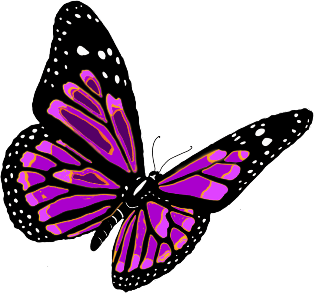 Download PNG image: flying butterfly PNG image