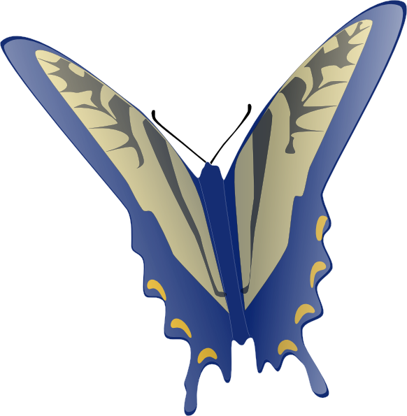 Butterfly clip art - vector clip art online, royalty free & public ...