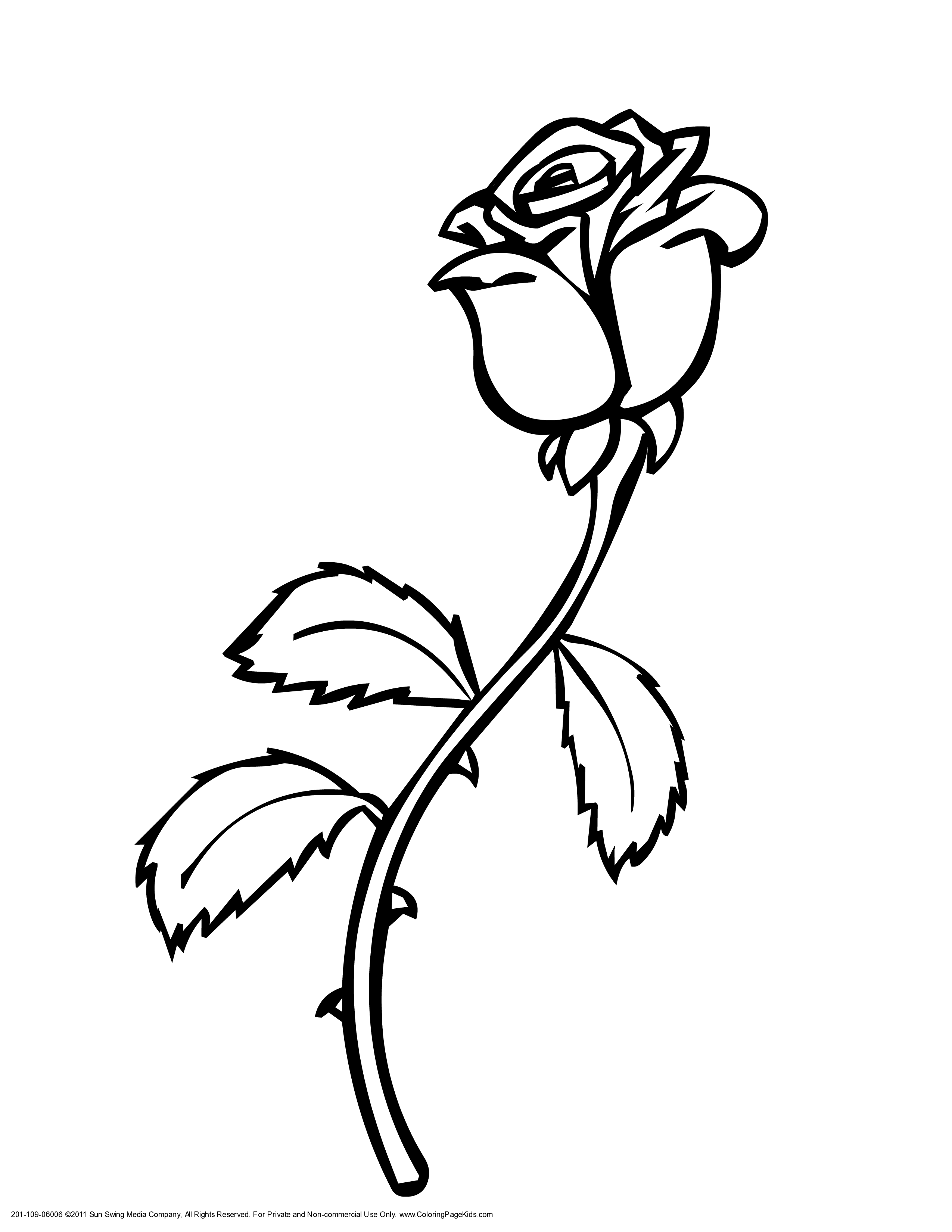 Rose Vine Drawings