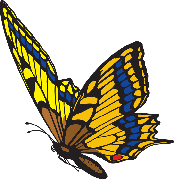 Butterflies Images Clip Art