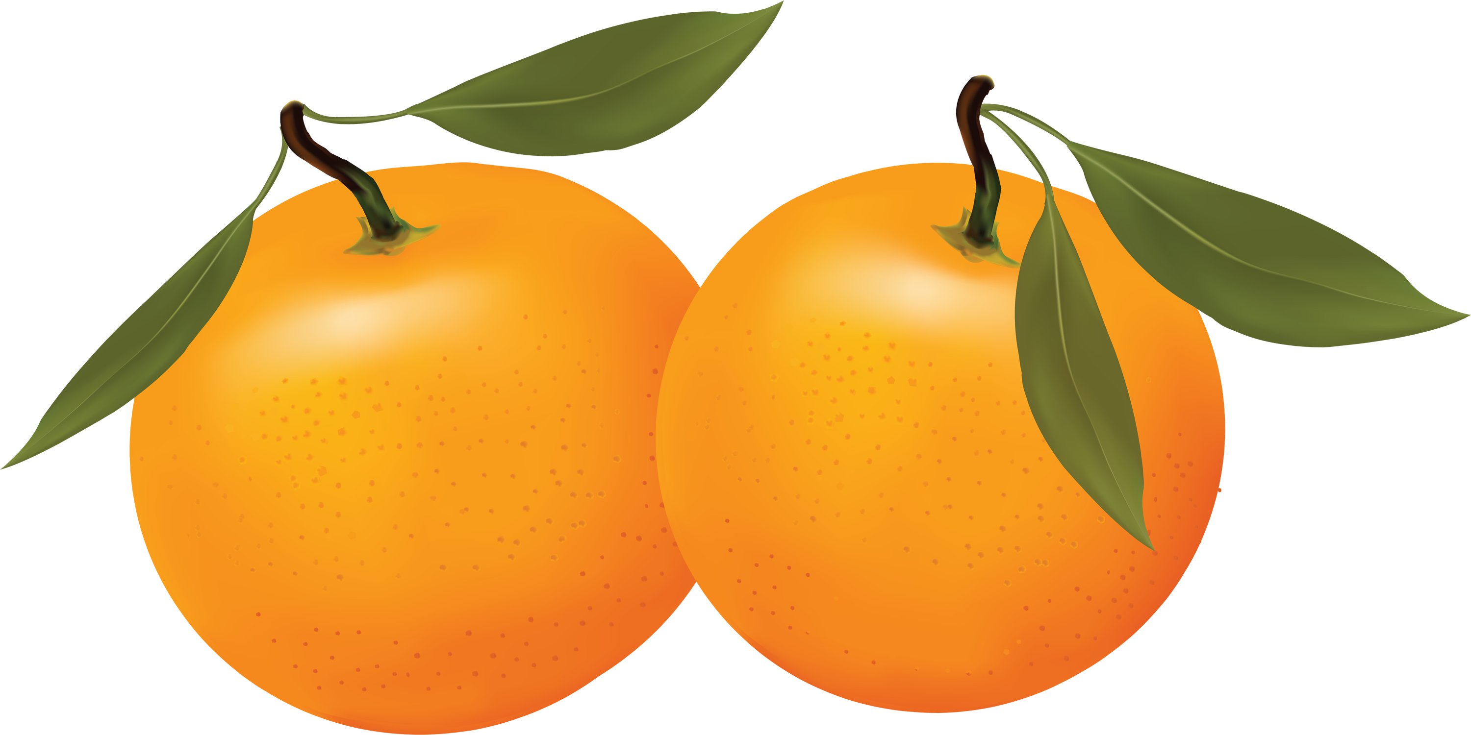 Orange clipart free