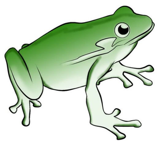 Jumping Frog Clip Art - Free Clipart Images