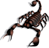 Scorpion Clip Art