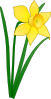 Daffodil Clip Art