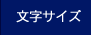 文字サイズ