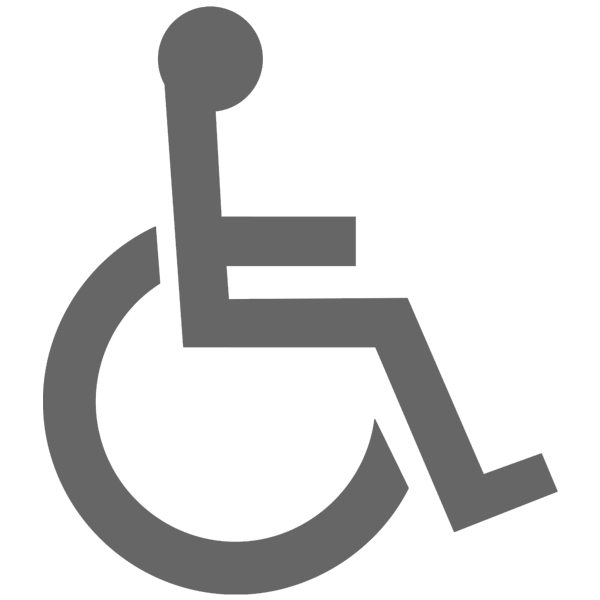 wheelchair icon