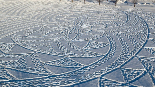 冬雪稻田畫