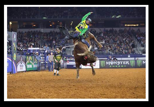 Promoção de ações de marketing no Professional Bull Riders e Professional Golfers Association