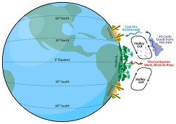 Hadley cells