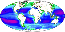 clorophyll production map