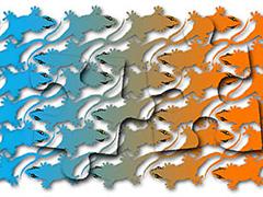 an image with some lizards of different colors on it