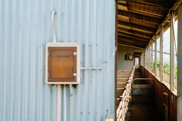 Box on side of pig shed