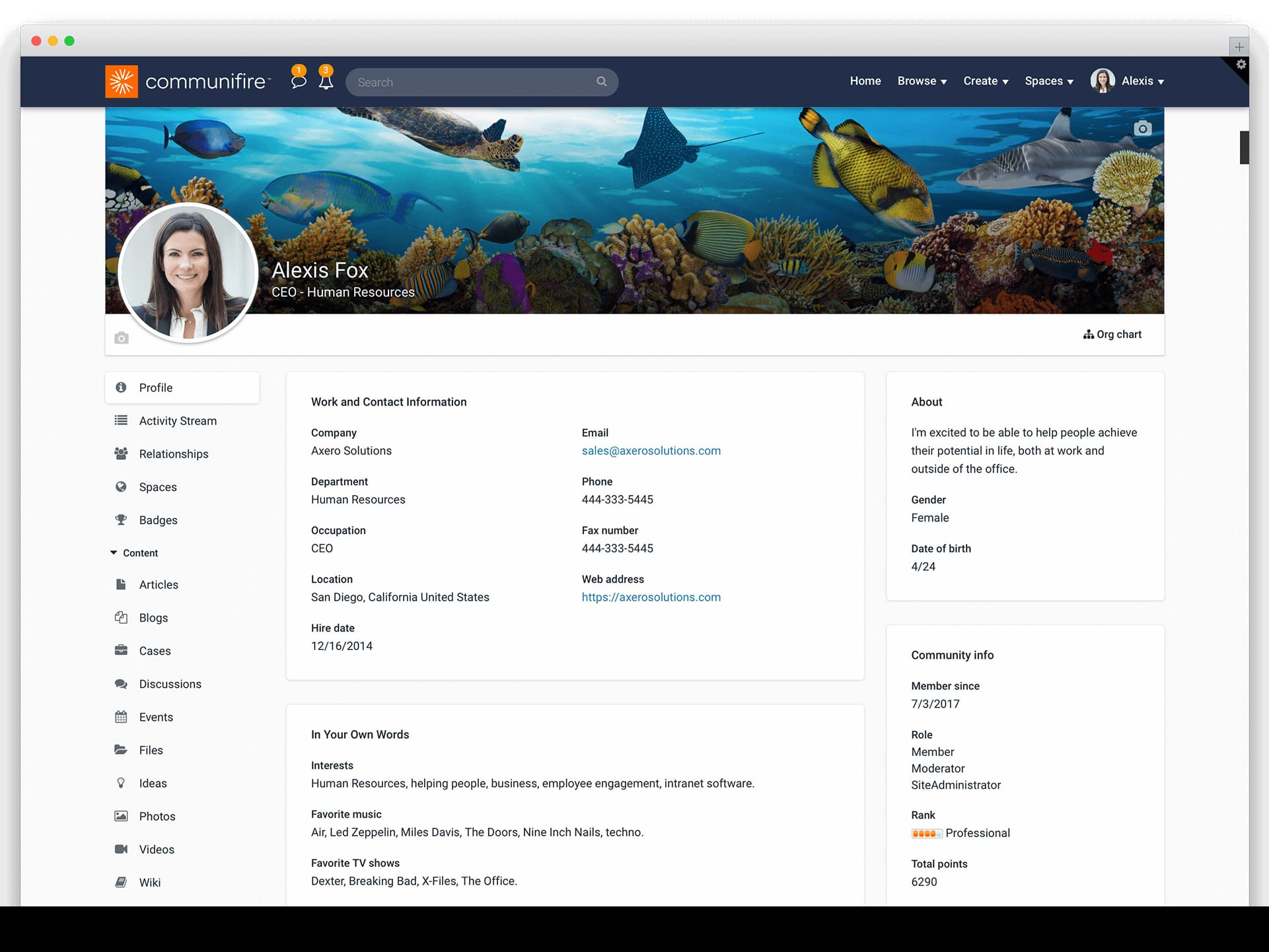 corporate intranet - employee profiles