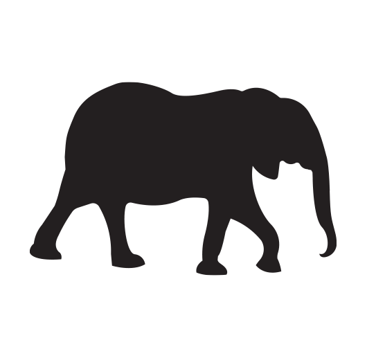 elephants