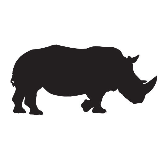 rhinos