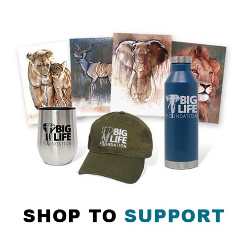 Shop to Support