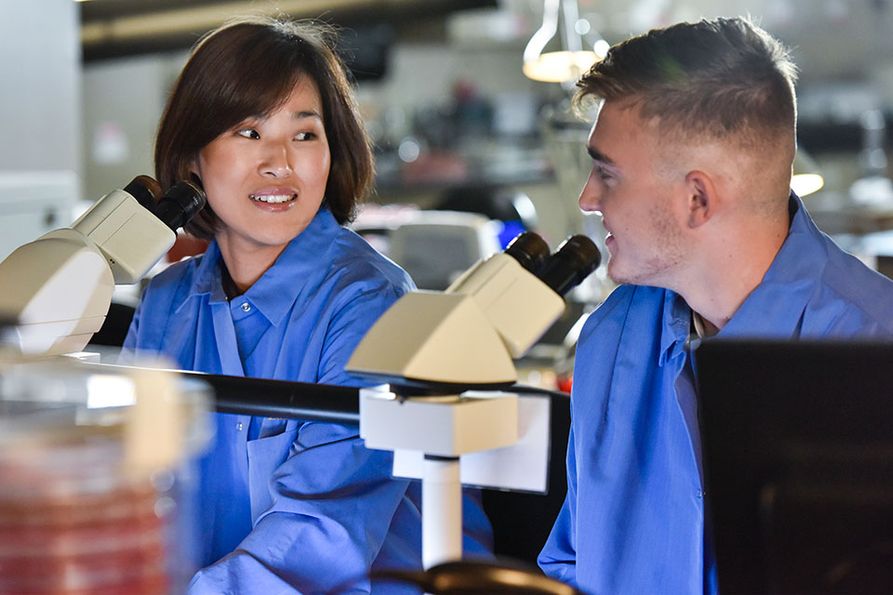 two staff members at microscopes in medical laboratory