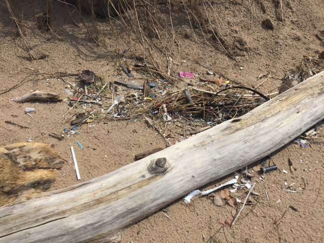 A mess of small plastic debris around a log on a beach.