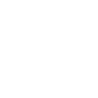 magnifying glass icon