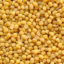 Organic Moong Dal - Split Mung Beans