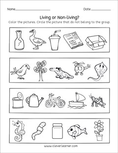 living or not living preschool sheet