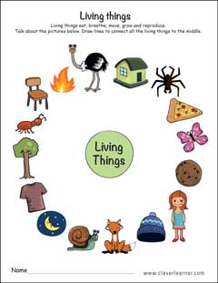 living things preschool worksheet