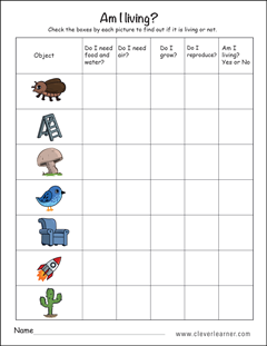 Kindergarten science living things