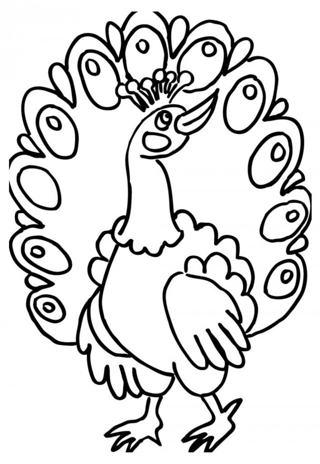 Peacock Feather Coloring Page