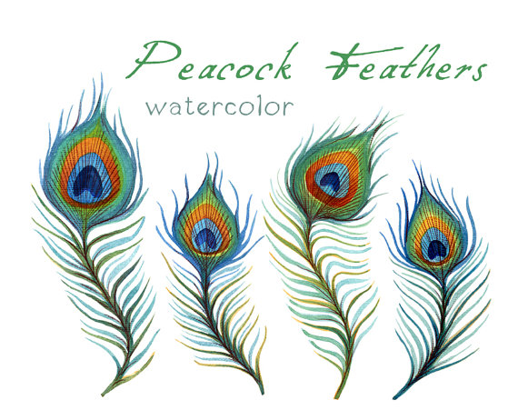 Peacock Clipart - ClipArt Best