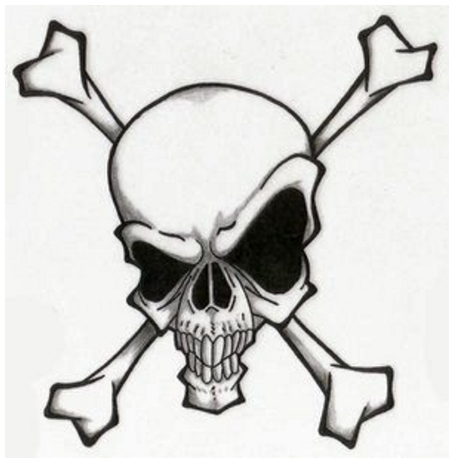 Skull Tattoo Design for Men and Women