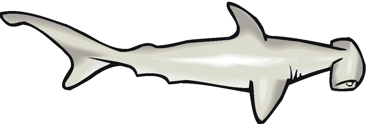 Free Shark Clipart