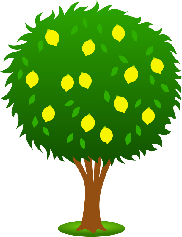 Free to Use & Public Domain Lemon Tree Clip Art