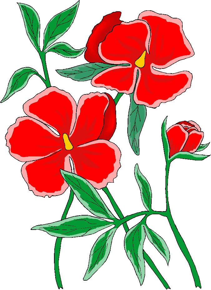 Clipart Flowers Free