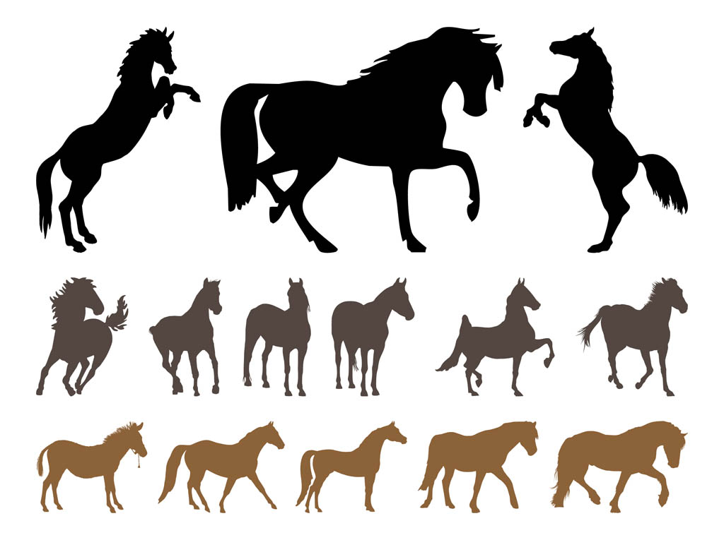 Free Horse Vectors