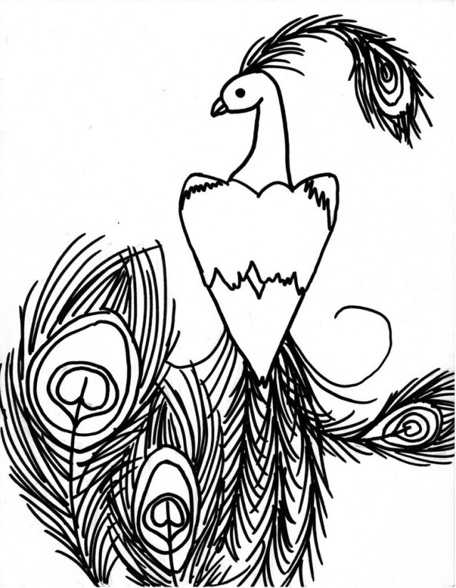 Realistic Peacock Coloring Pages