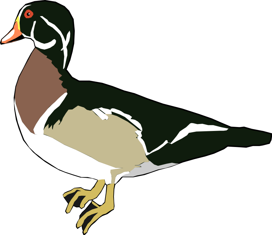 Commercial Duck medium 600pixel clipart, vector clip art ...