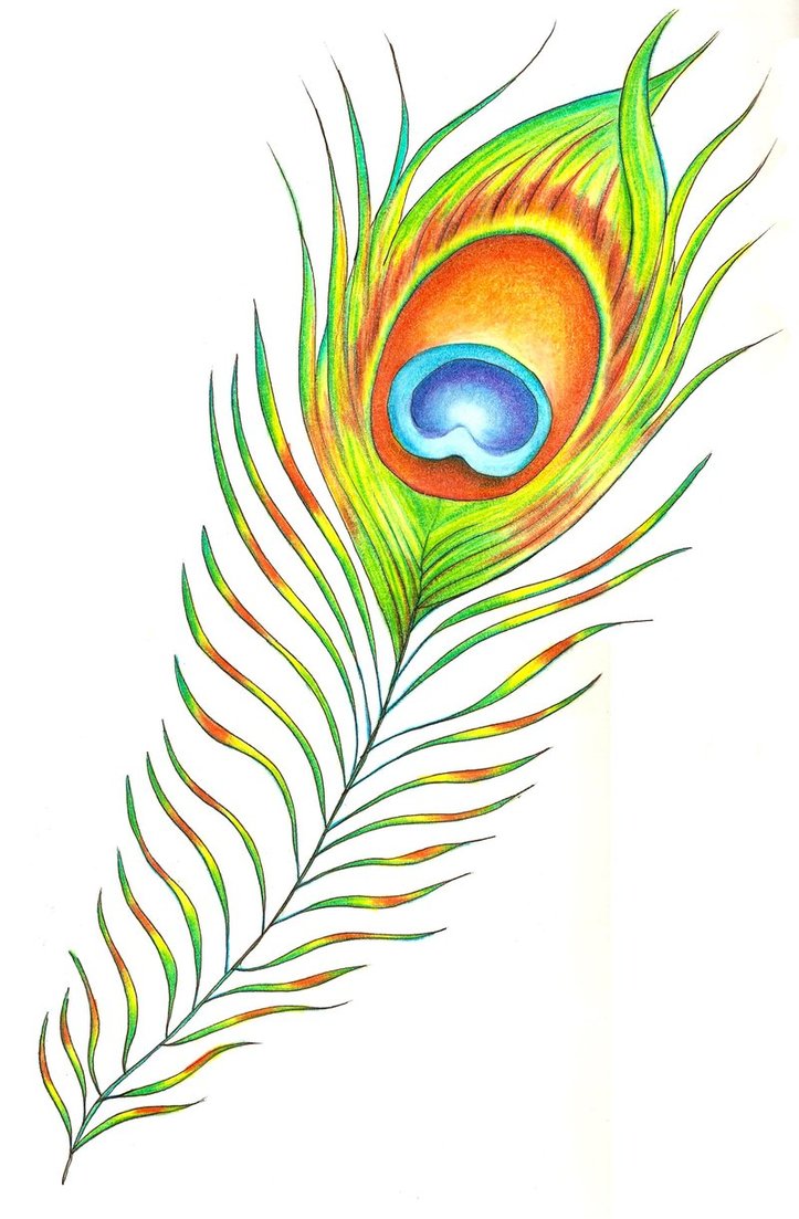 Peacock Feather Border Designs | Clipart Panda - Free Clipart Images