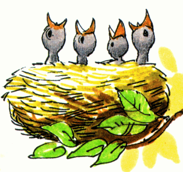 Pix For > Baby Bird Leaving The Nest Clip Art