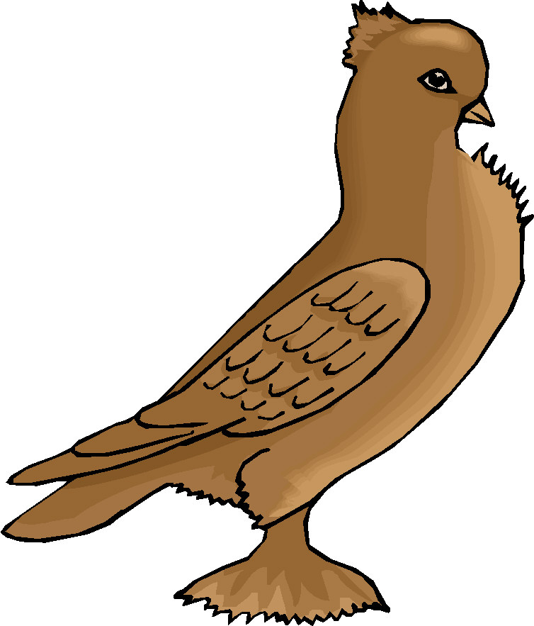 Baby Bird Clipart