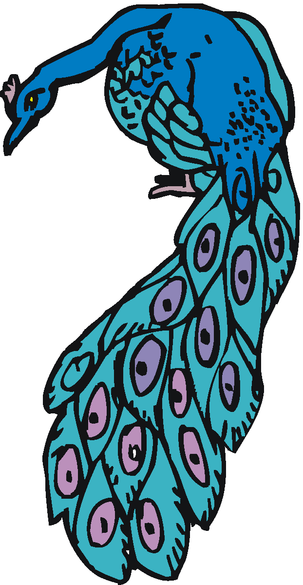 Free Peacock Clipart