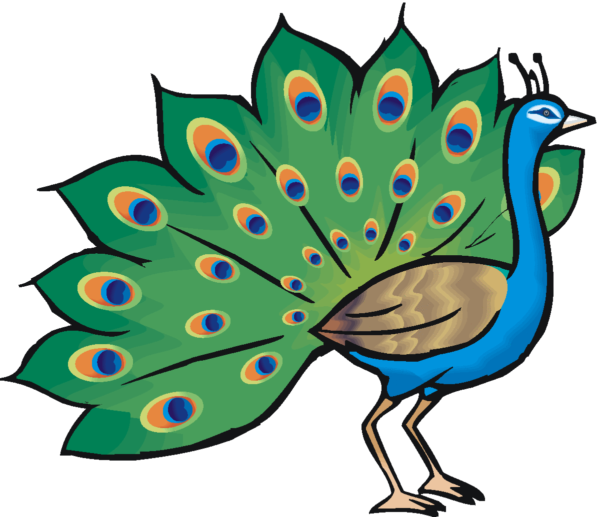 Free Peacock Clipart